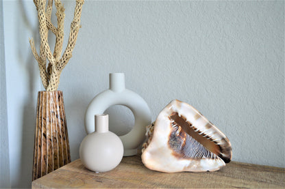 KING HORNED HELMET Shell *All Sizes* Natural Brown Patterned Display Seashell Coastal Décor