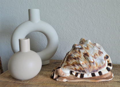 KING HORNED HELMET Shell *All Sizes* Natural Brown Patterned Display Seashell Coastal Décor