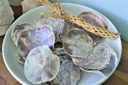 SADDLE OYSTER SHELLS 4-6" Natural Purple Color Craft Seashells Coastal Beach Décor