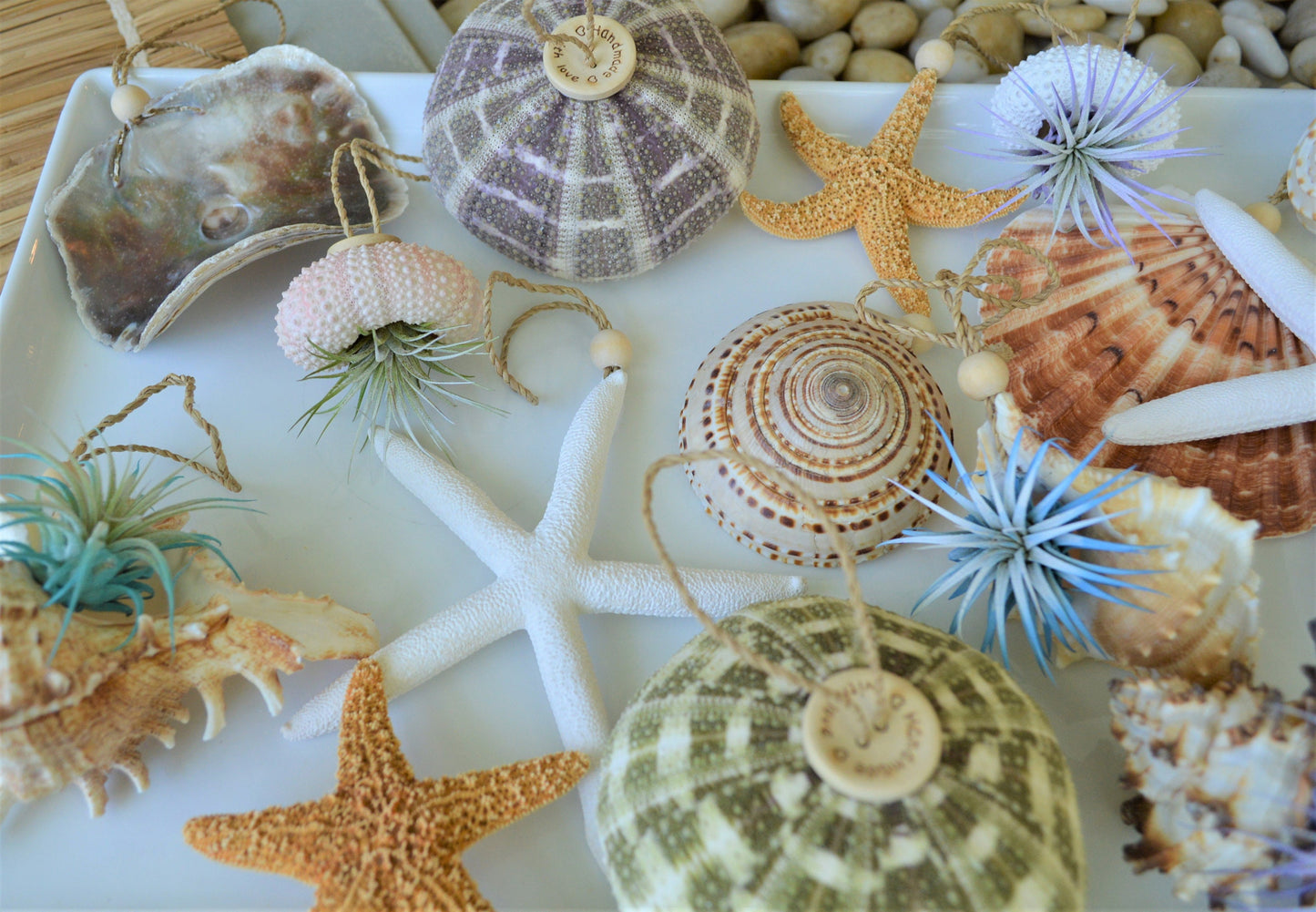 Seashell Ornaments *You choose Type and quantity* Starfish Sea Shells Urchins Hanging Ornaments Beach Coastal Party Wedding favors Air Plant