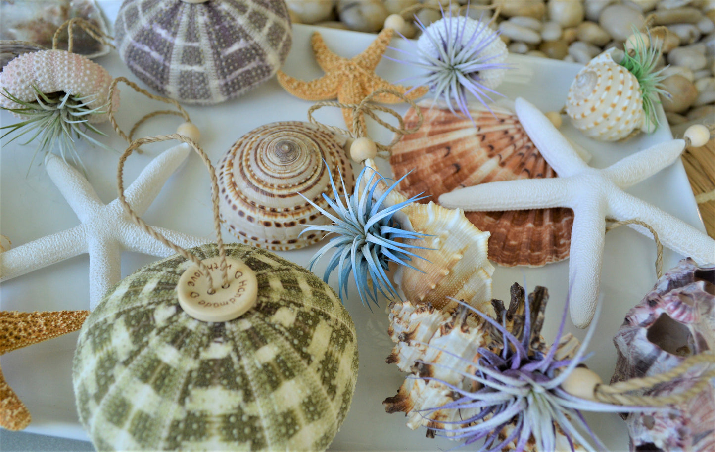 Seashell Ornaments *You choose Type and quantity* Starfish Sea Shells Urchins Hanging Ornaments Beach Coastal Party Wedding favors Air Plant
