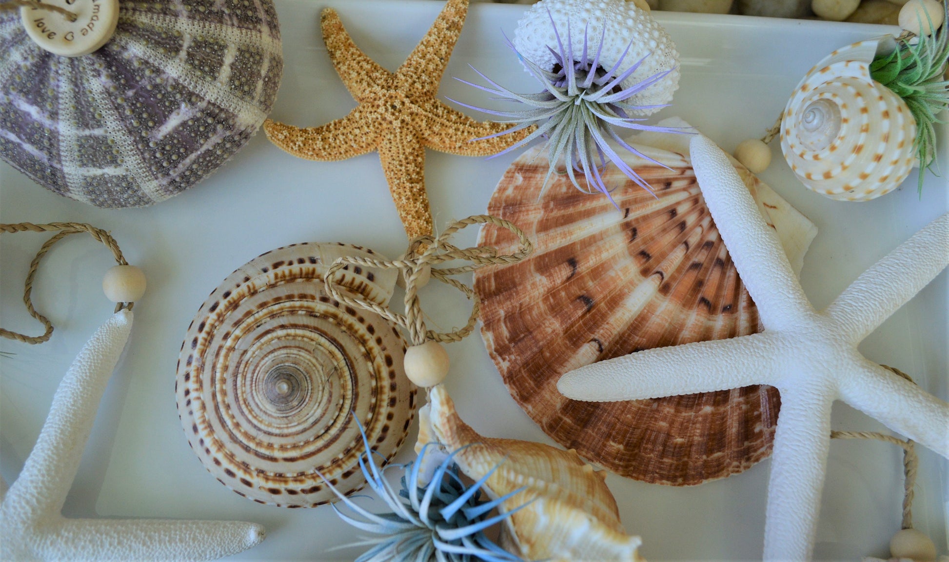Seashell Ornaments *You choose Type and quantity* Starfish Sea Shells Urchins Hanging Ornaments Beach Coastal Party Wedding favors Air Plant