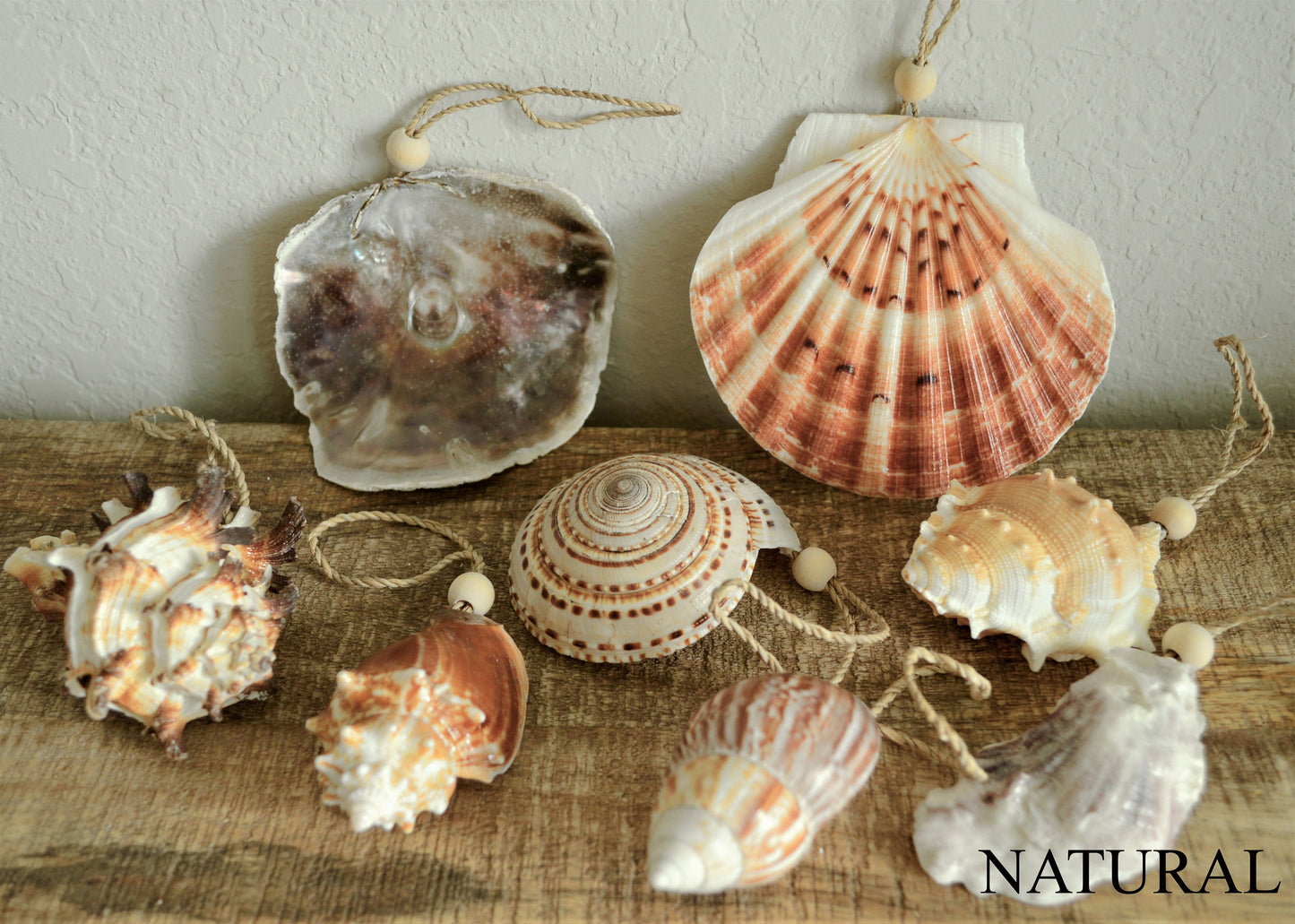 Seashell Starfish Sea Urchin Barnacles Hanging Ornaments Beach Coastal Christmas Tree Party Wedding favors