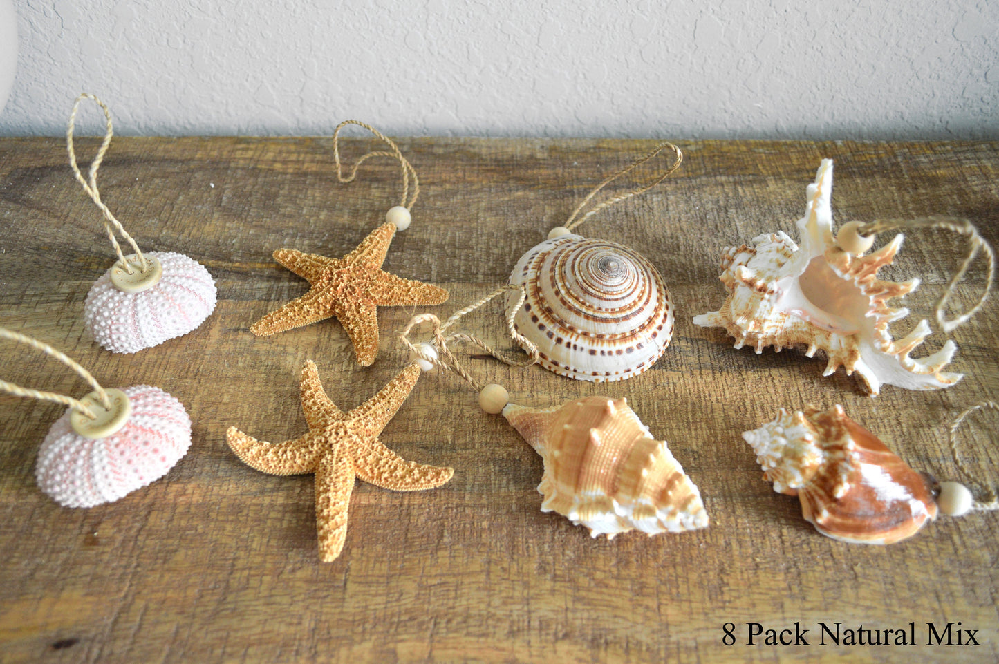 Seashell Starfish Sea Urchin Barnacles Hanging Ornaments Beach Coastal Christmas Tree Party Wedding favors