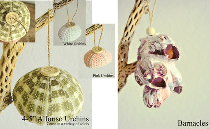 Seashell Ornaments *You choose Type and quantity* Starfish Sea Shell Urchins Hanging Ornaments Beach Coastal Party Wedding Favors Air Plant