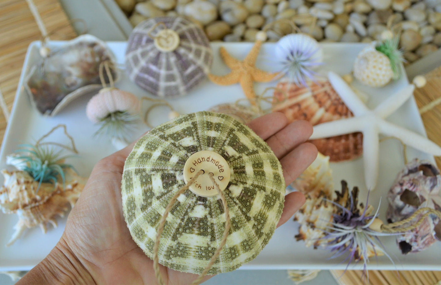 Seashell Ornaments *You choose Type and quantity* Starfish Sea Shells Urchins Hanging Ornaments Beach Coastal Party Wedding favors Air Plant