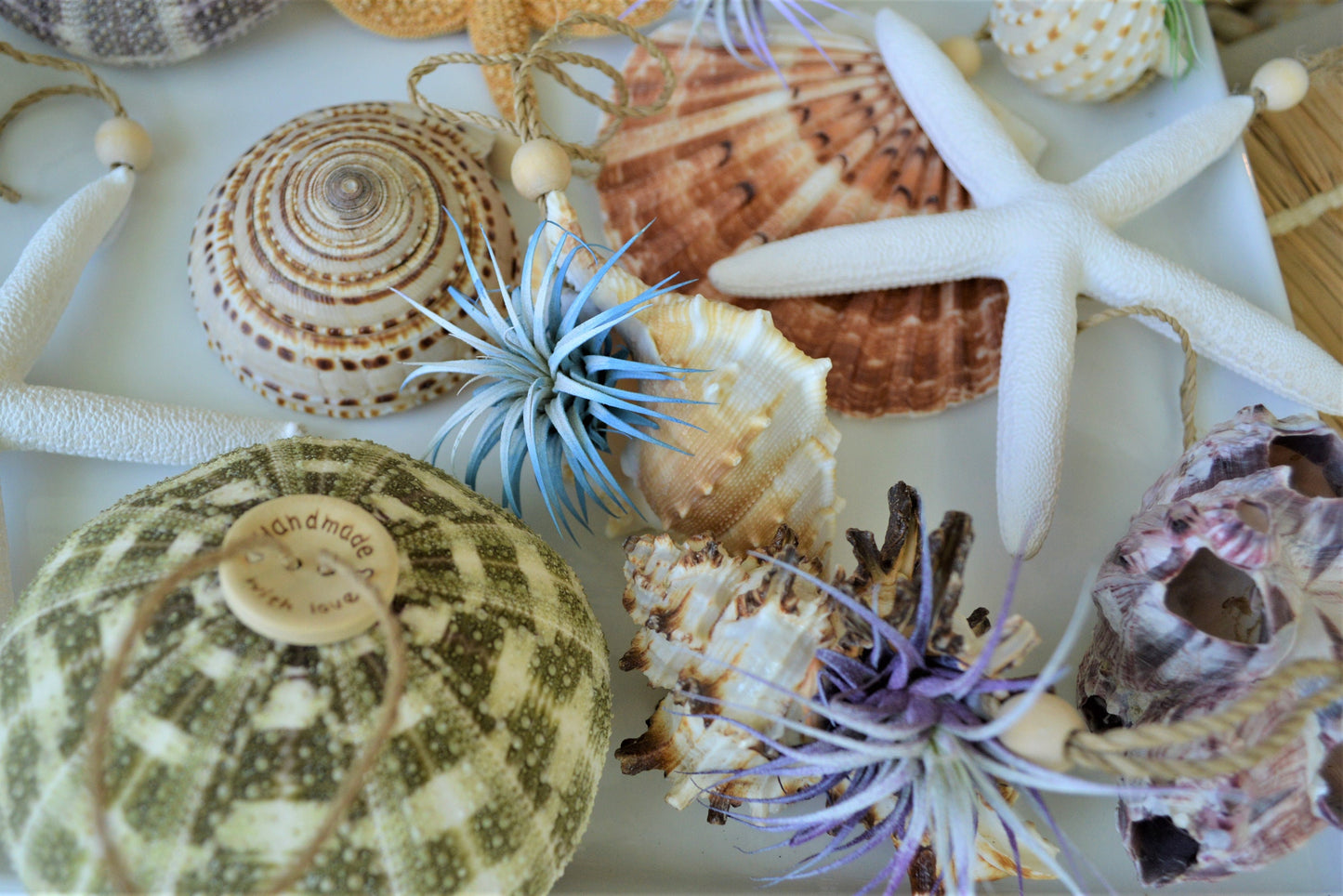 Seashell Ornaments *You choose Type and quantity* Starfish Sea Shells Urchins Hanging Ornaments Beach Coastal Party Wedding favors Air Plant