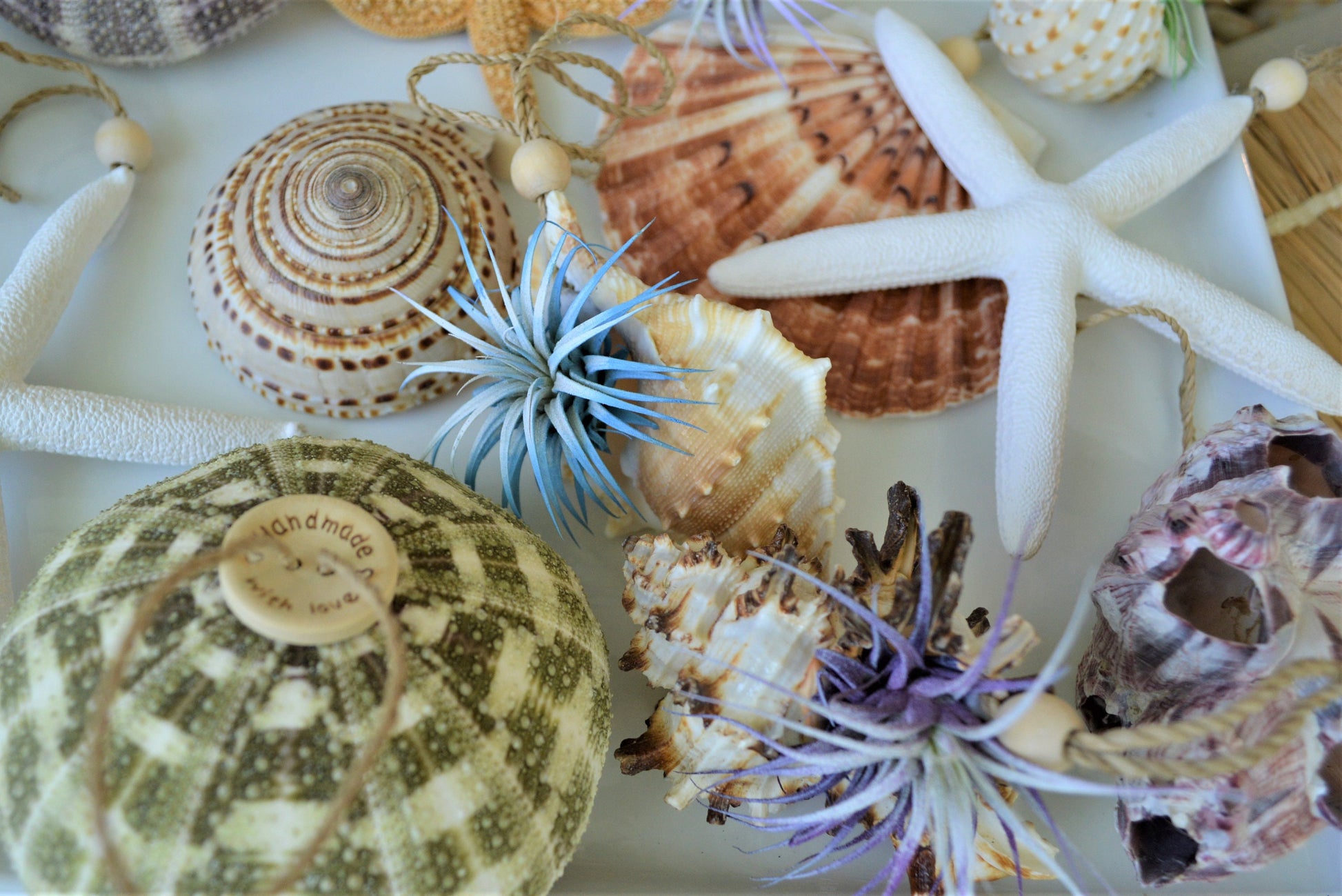 Seashell Ornaments *You choose Type and quantity* Starfish Sea Shells Urchins Hanging Ornaments Beach Coastal Party Wedding favors Air Plant