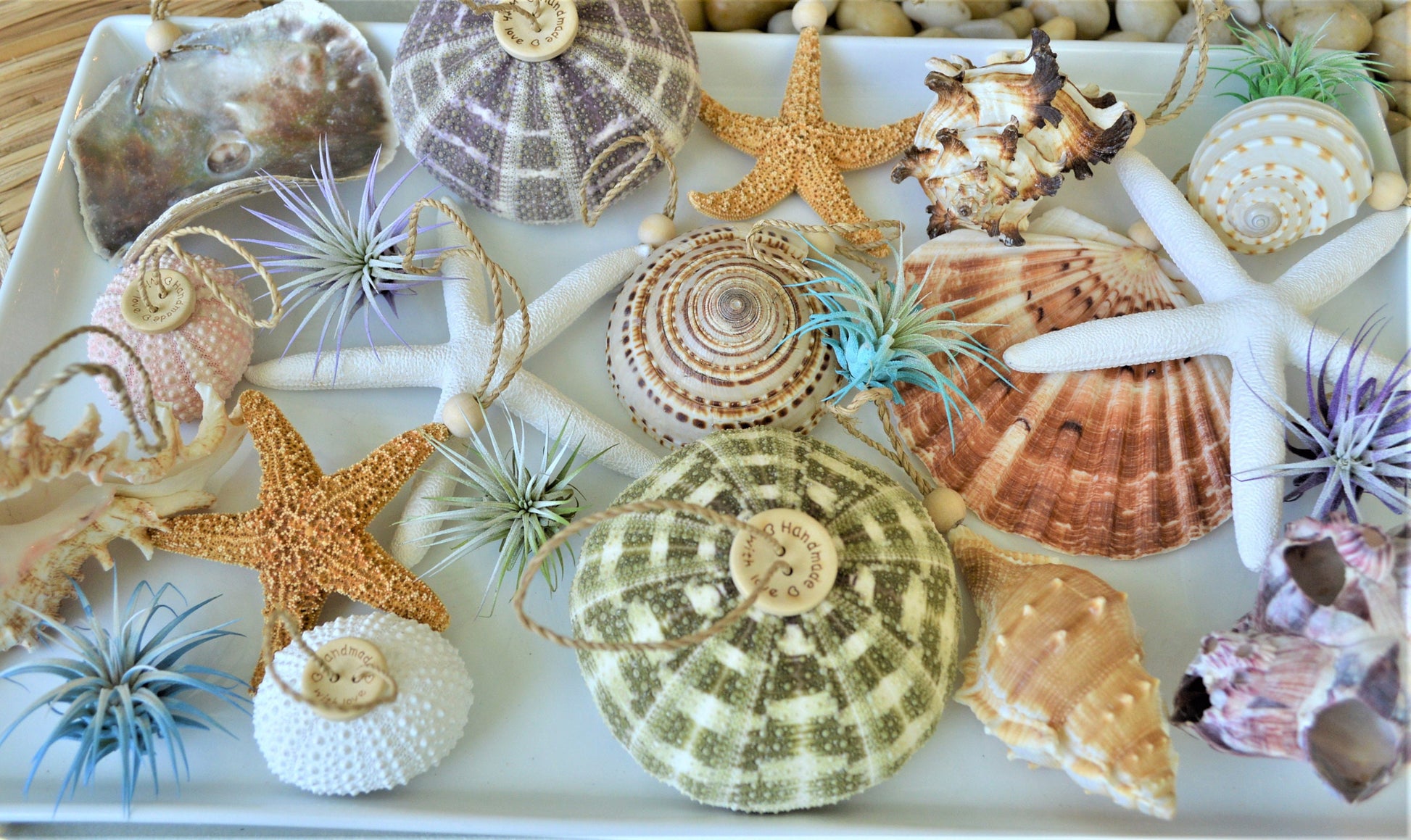 Seashell Starfish Sea Urchin Barnacles Hanging Ornaments Beach Coastal Christmas Tree Party Wedding favors