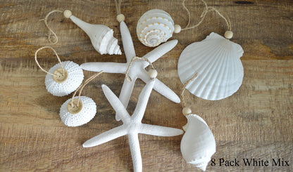 Seashell Ornaments *You choose Type and Quantity* Starfish Sea Shell Urchins Beach Coastal Party