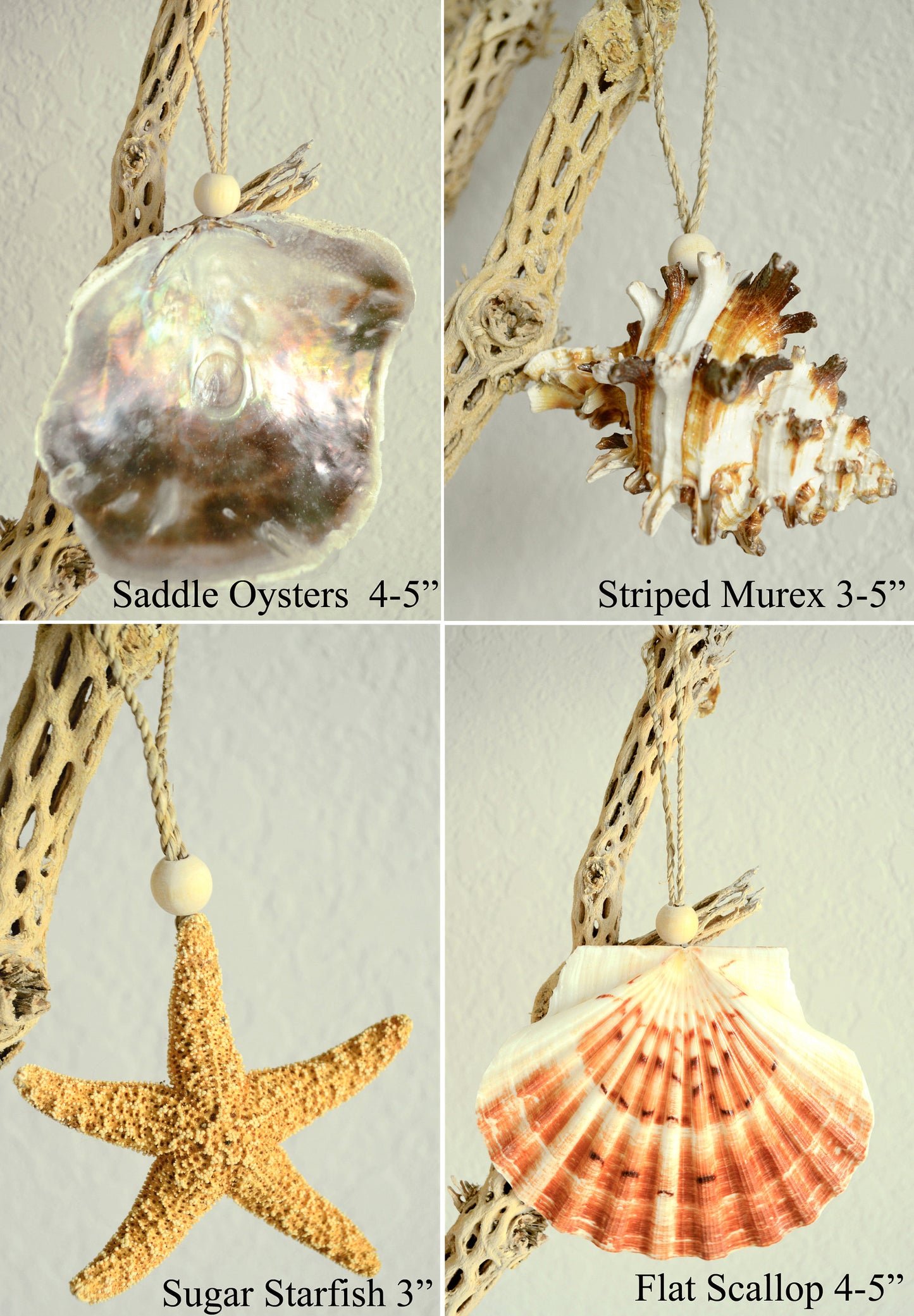 Seashell Starfish Sea Urchin Barnacles Hanging Ornaments Beach Coastal Christmas Tree Party Wedding favors