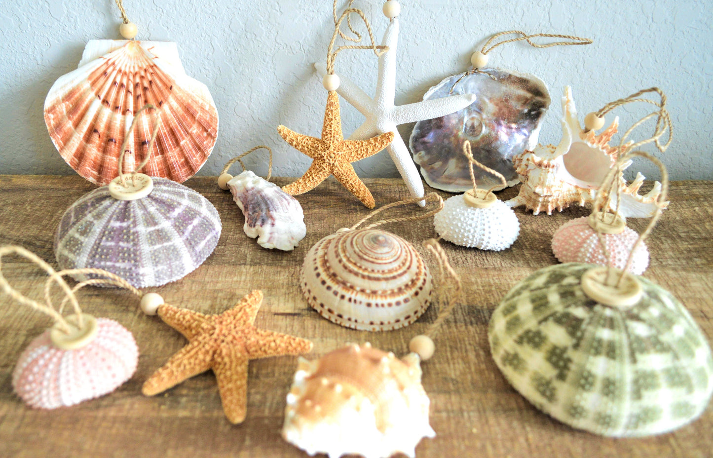 Seashell Starfish Sea Urchin Barnacles Hanging Ornaments Beach Coastal Christmas Tree Party Wedding favors