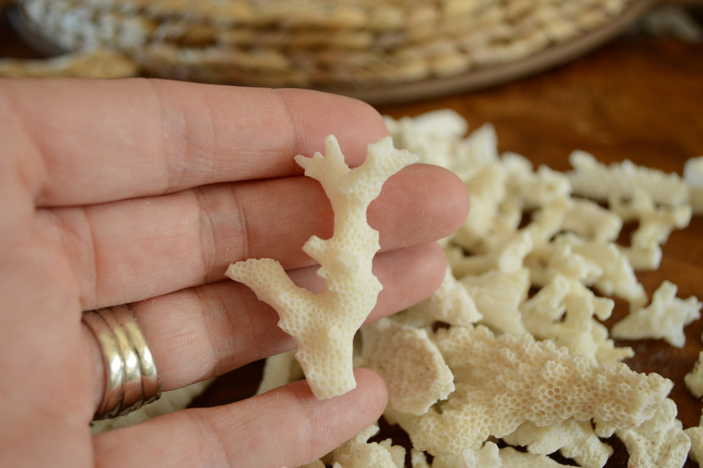 White Coral Rubble 2-4" Pieces *You Choose Size* Craft Seashells Shell Coastal Beach Décor Bowl Filler Fragments