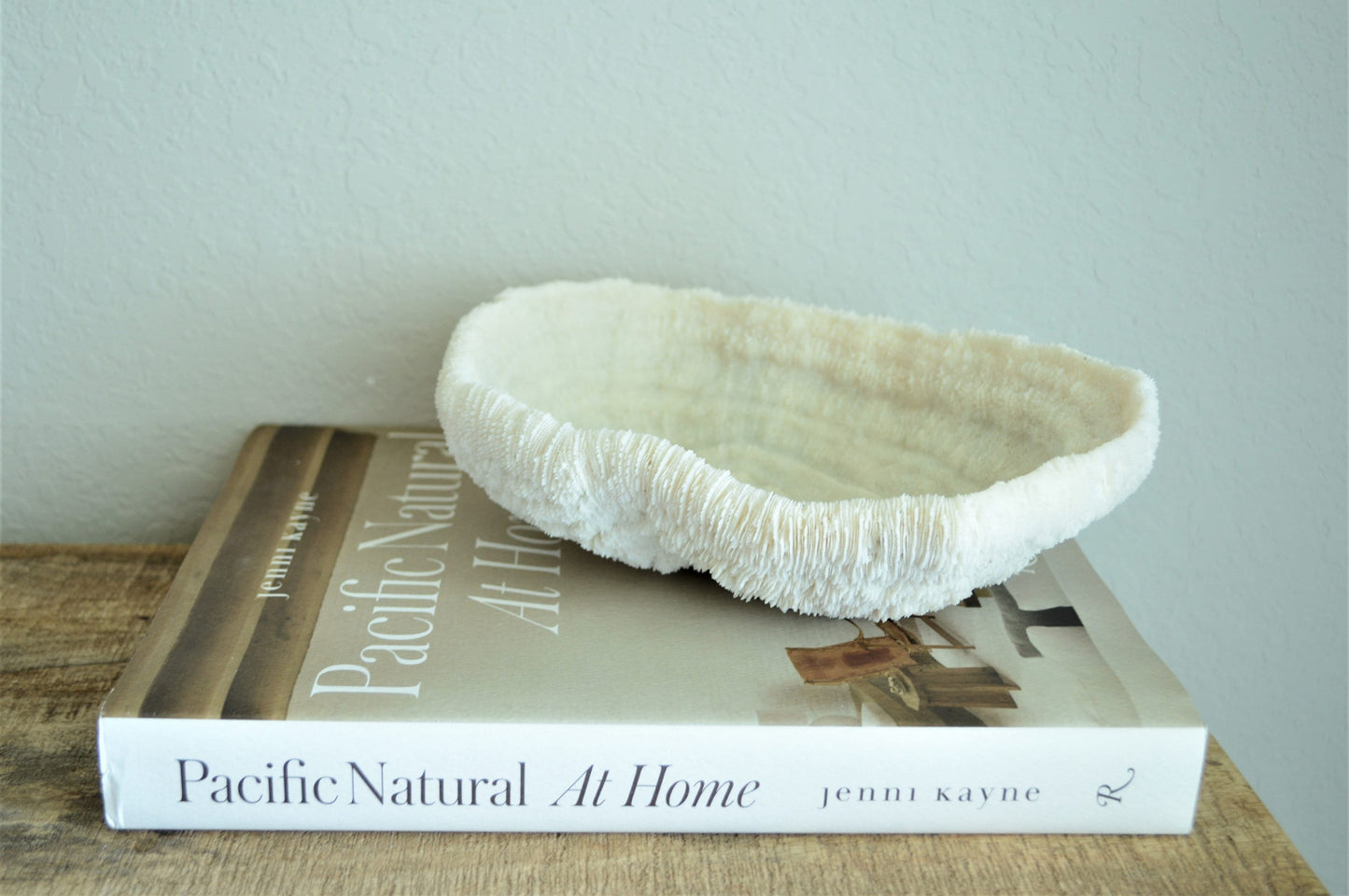BOWL CORAL White *All Sizes* Authentic Natural Real Sea Fossil Coastal Décor