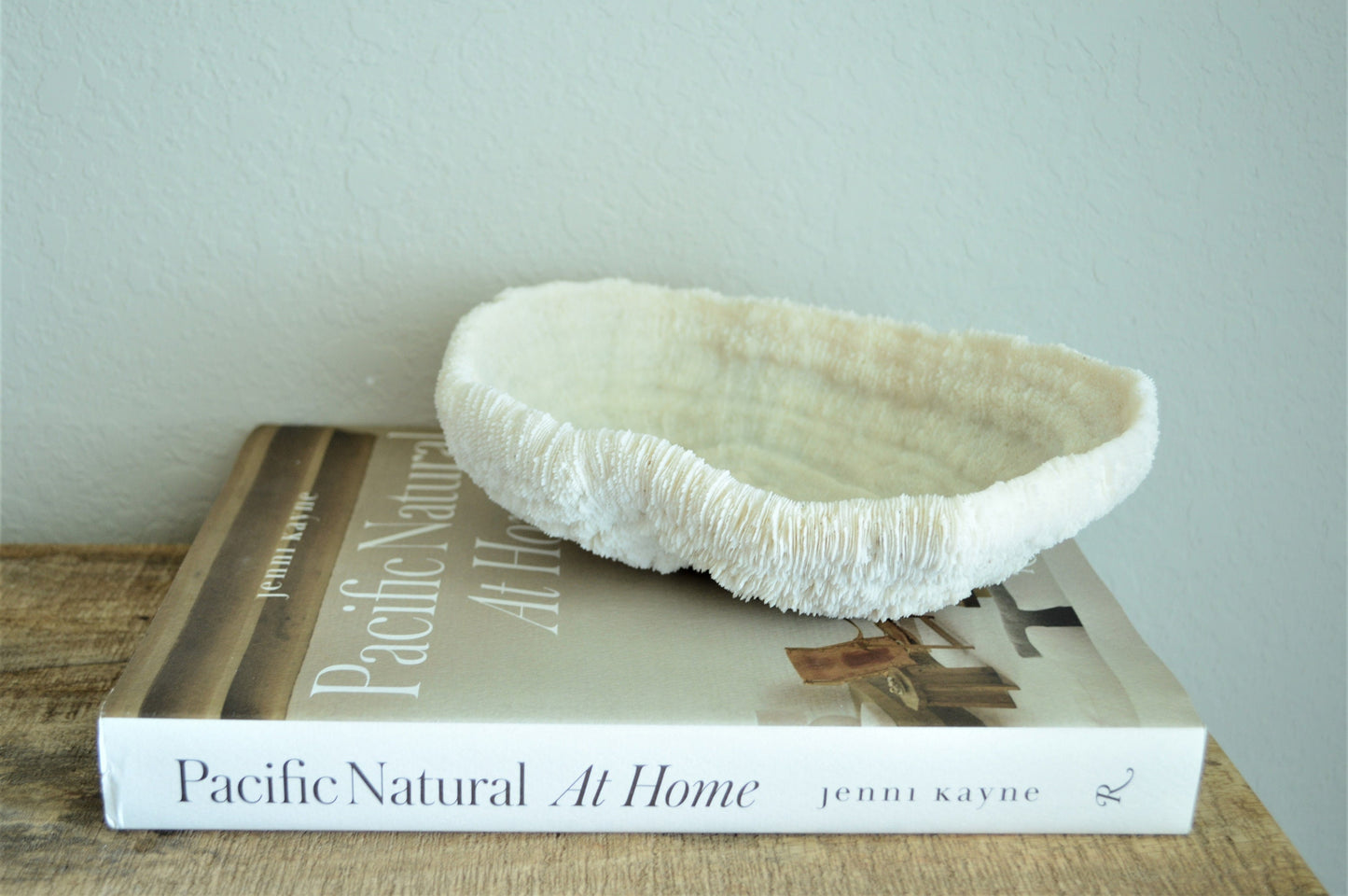BOWL CORAL White *All Sizes* Authentic Natural Real Sea Fossil Coastal Décor