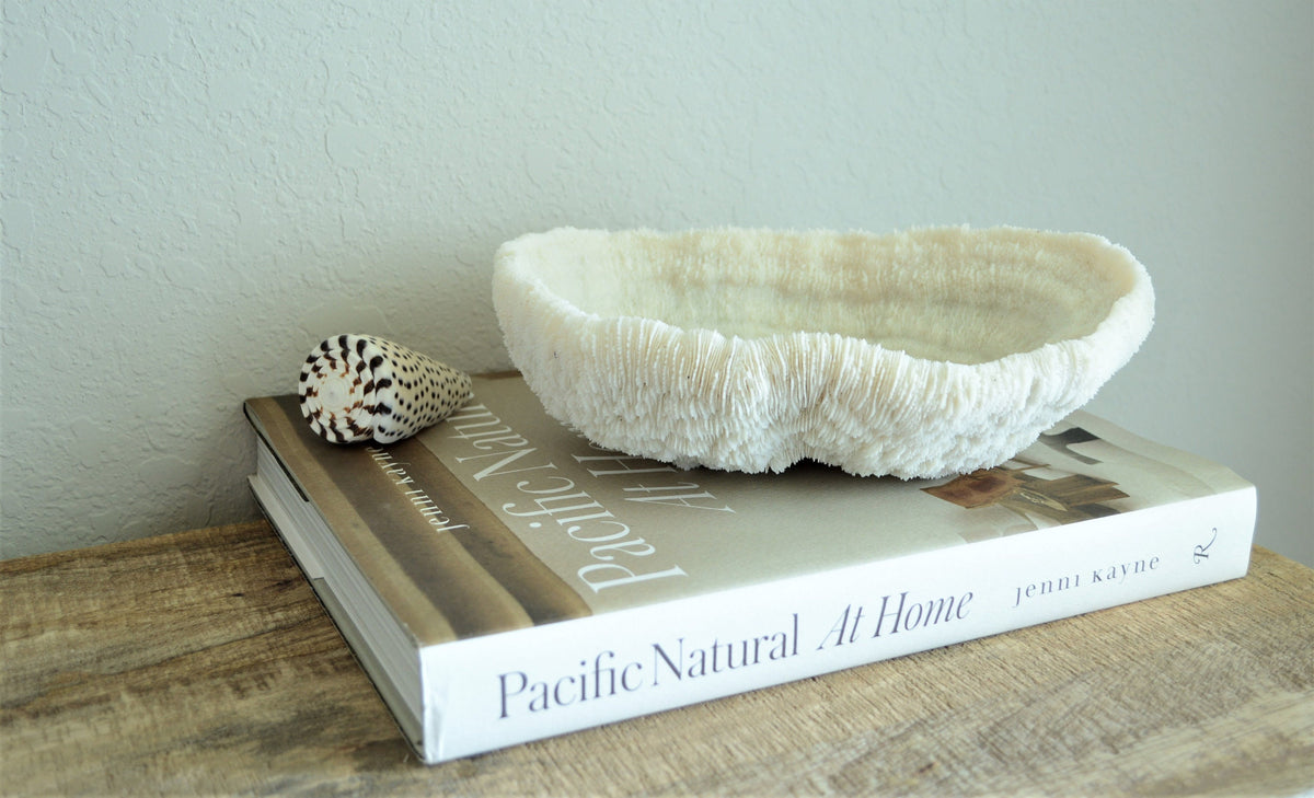 BOWL CORAL White *All Sizes* Authentic Natural Real Sea Fossil Coastal Décor