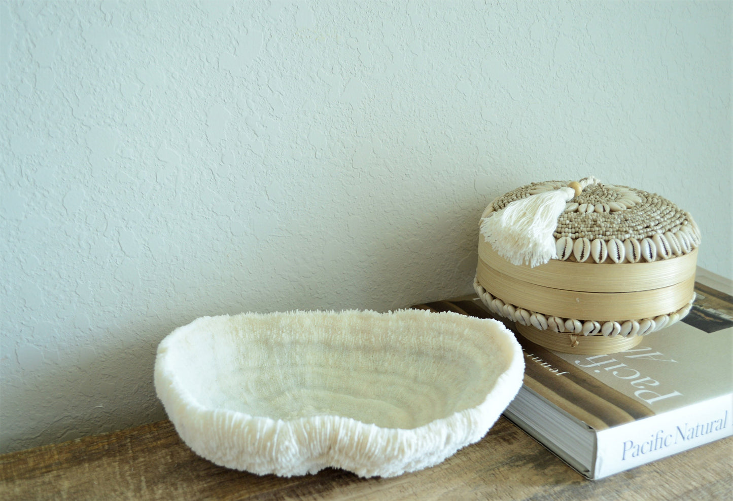 BOWL CORAL White All Sizes Authentic Natural Real Sea Fossil Coastal Décor Ocean Beach House Organic Sustainable Nature Art Tray Dish
