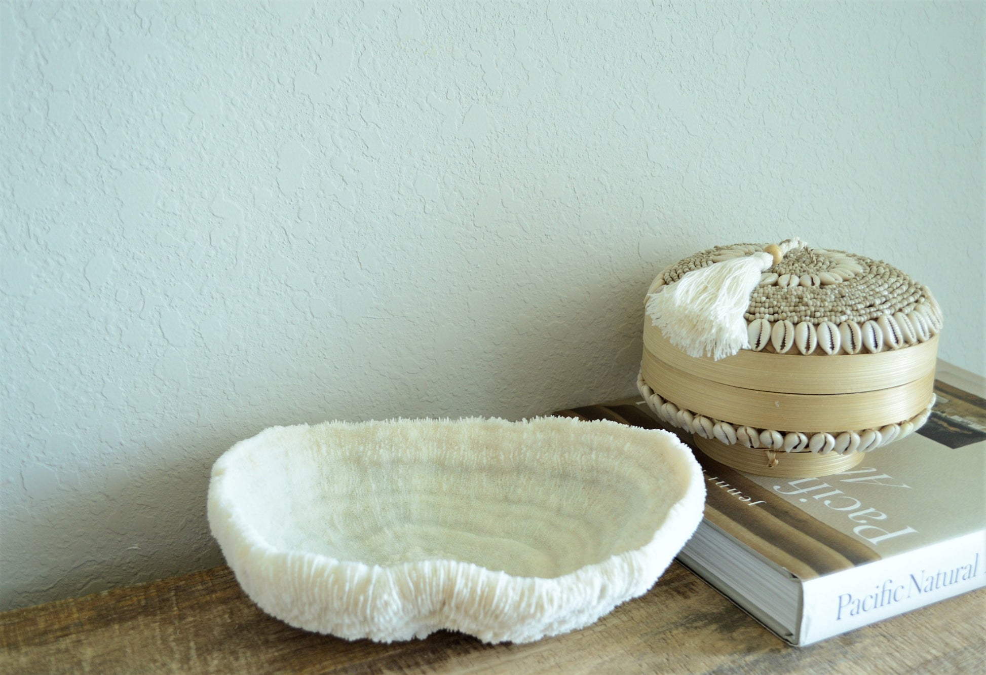 BOWL CORAL White All Sizes Authentic Natural Real Sea Fossil Coastal Décor Ocean Beach House Organic Sustainable Nature Art Tray Dish