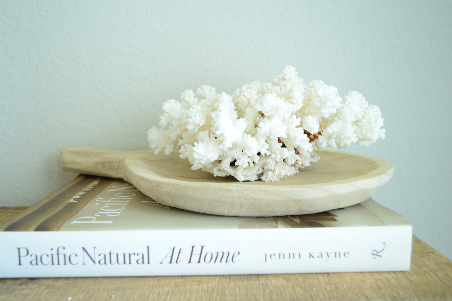 BROWN STEM Coral White All Sizes Authentic Natural Real Sea Fossil Coastal Décor Ocean Beach House Organic Sustainable Nature Art