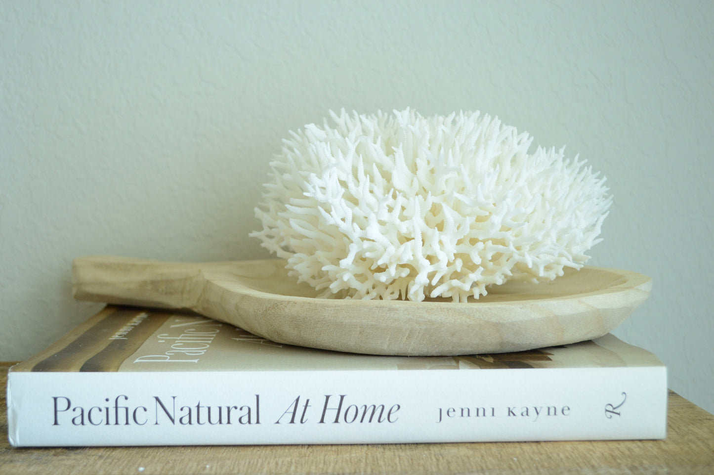 BIRDSNEST Coral White *All Sizes* Authentic Natural Real Sea Fossil Coastal Décor