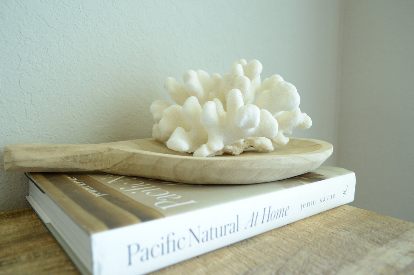 CATS PAW CORAL White *All Sizes* Authentic Natural Real Sea Fossil Coastal Décor