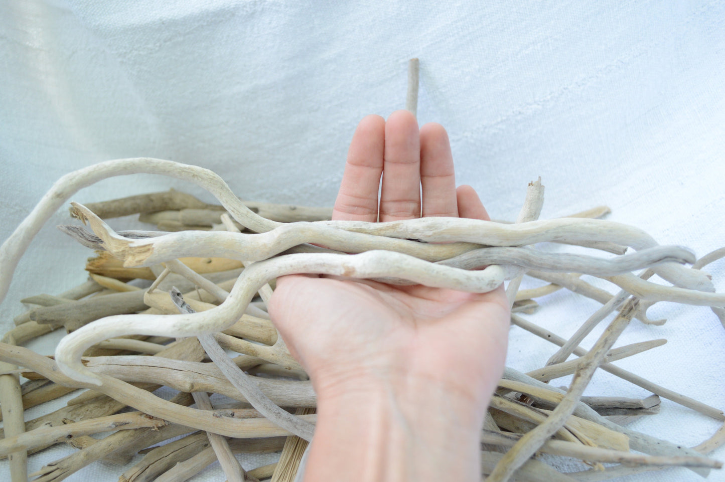 50 Pc. Sanibel Florida Real DRIFTWOOD 4-12" Beach Coastal Décor Nautical Crafts