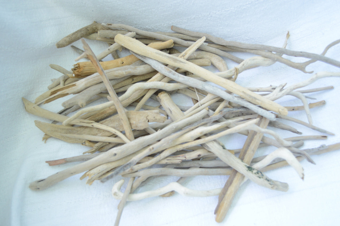 50 Pc. Sanibel Florida Real DRIFTWOOD 4-12" Beach Found Coastal Décor Crafts