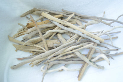 50 Pc. Sanibel Florida Real DRIFTWOOD 4-12" Beach Found Coastal Décor Crafts