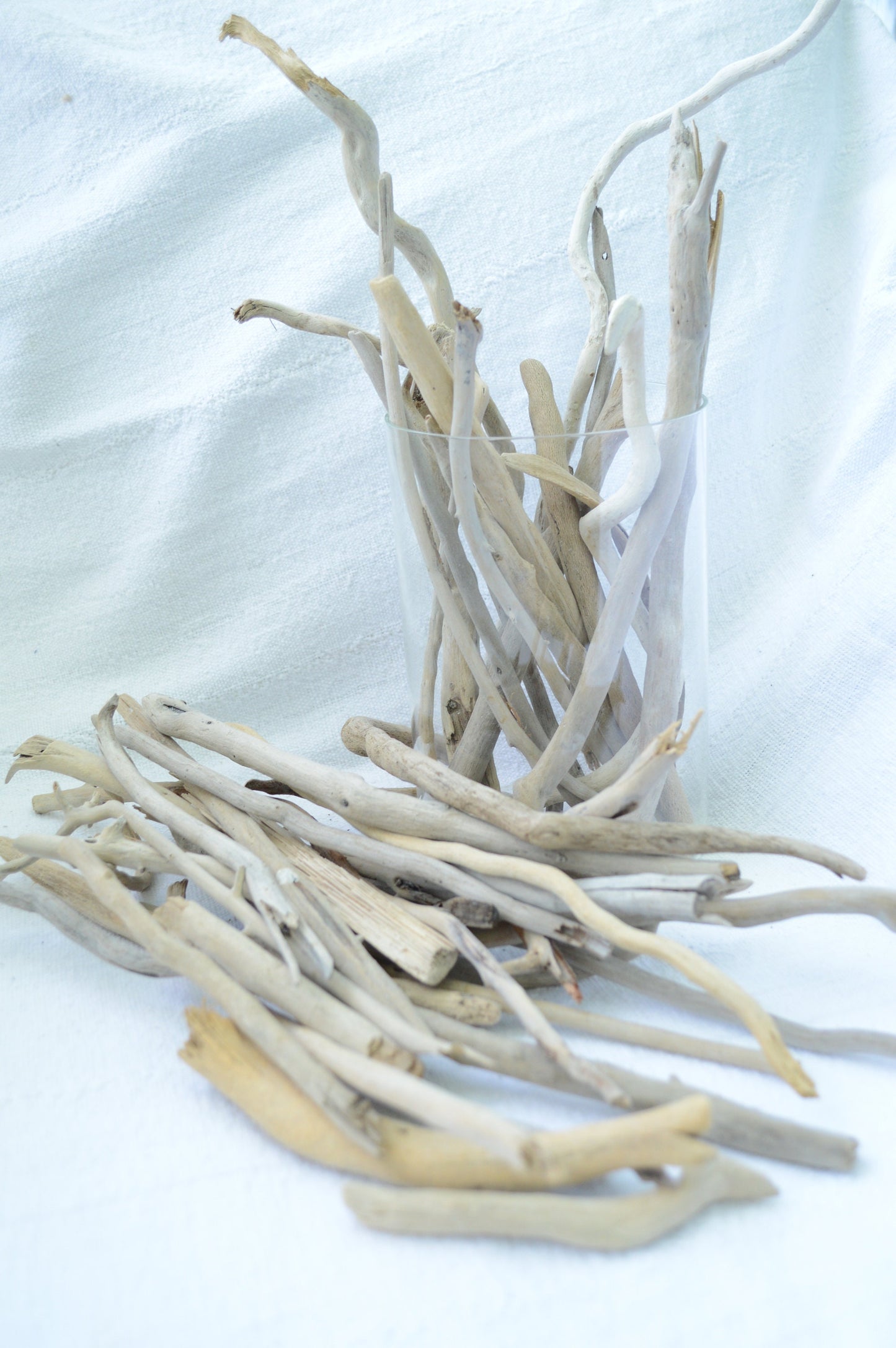 50 Pc. Sanibel Florida Real DRIFTWOOD 4-12" Beach Found Coastal Décor Crafts