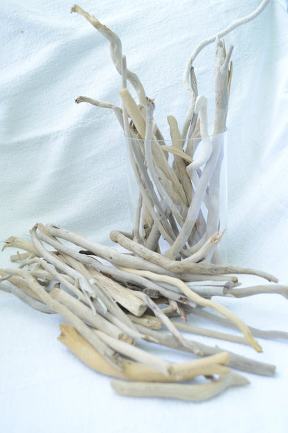 50 Pc. Sanibel Florida Real DRIFTWOOD 4-12" Beach Found Coastal Décor Crafts