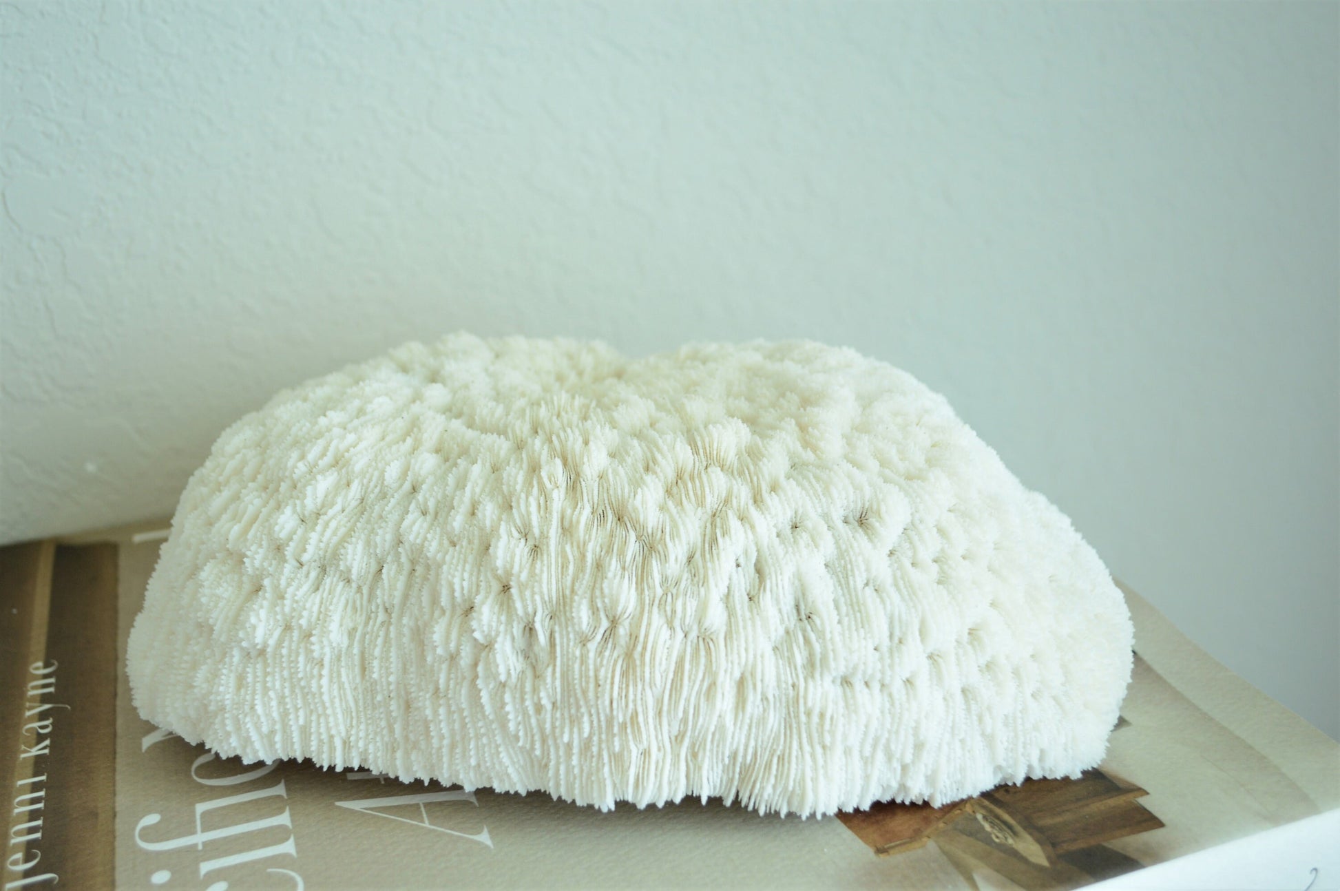 BOWL CORAL White All Sizes Authentic Natural Real Sea Fossil Coastal Décor Ocean Beach House Organic Sustainable Nature Art Tray Dish