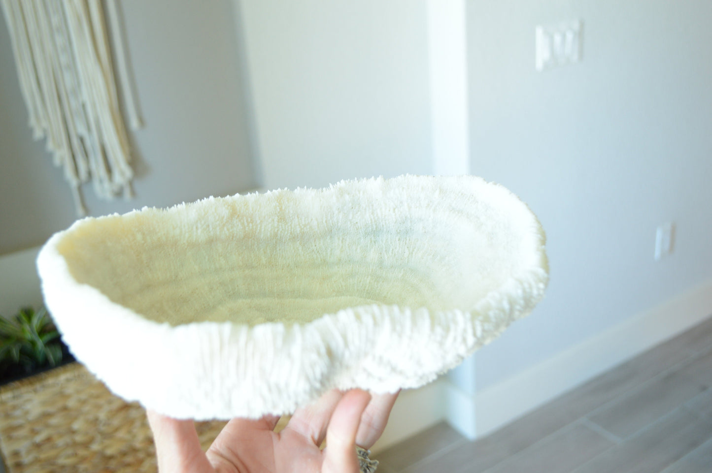 BOWL CORAL White All Sizes Authentic Natural Real Sea Fossil Coastal Décor Ocean Beach House Organic Sustainable Nature Art Tray Dish