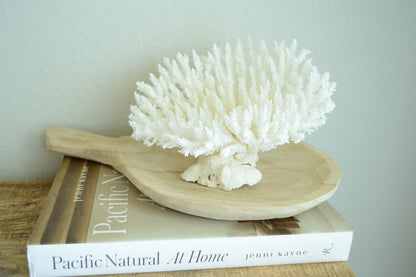 Genuine Sea TABLE CORAL 5-13" You Choose Size-Ocean Reef Aquarium Coastal Beach Ocean Décor Nautical White