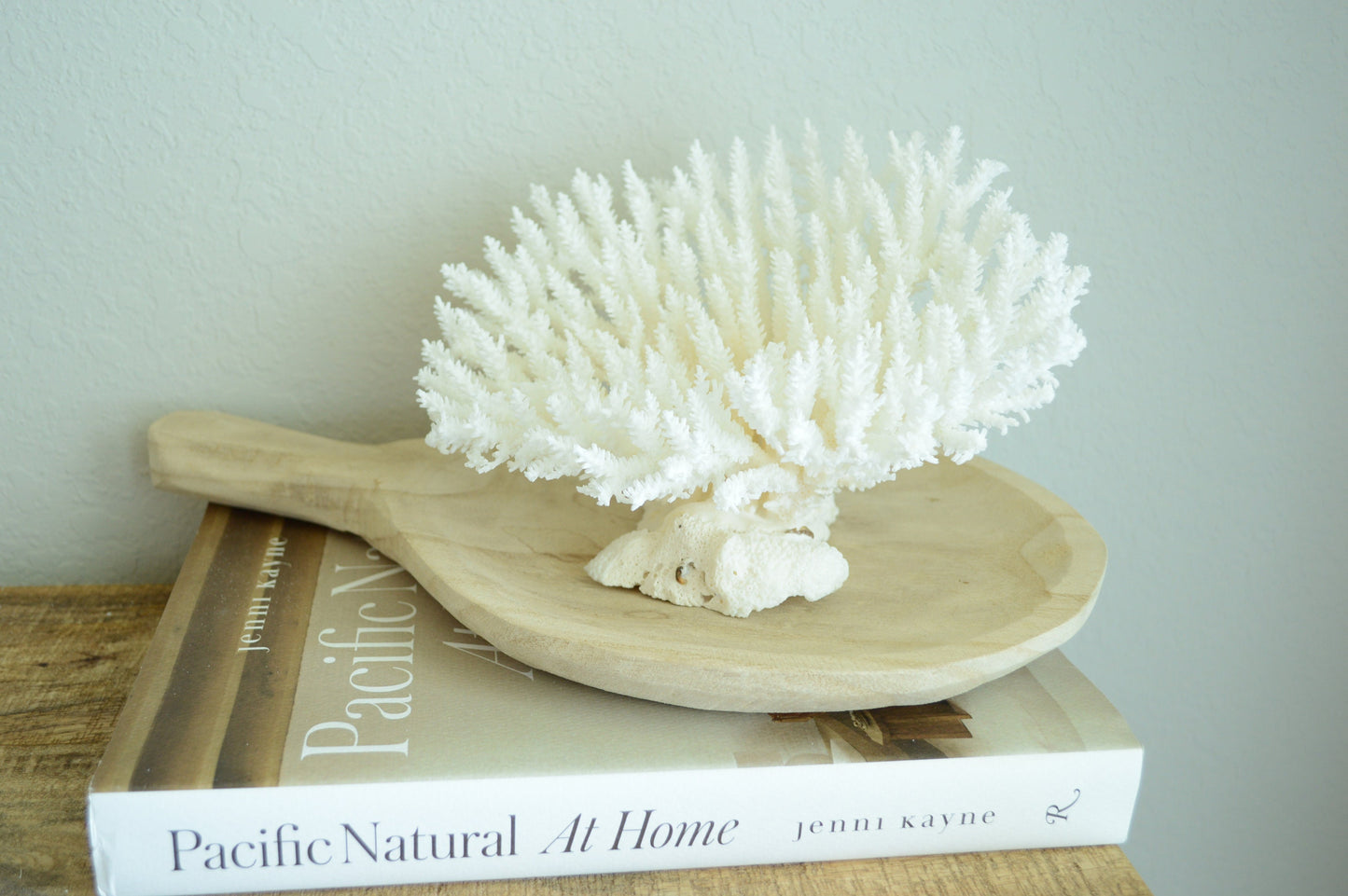 TABLE CORAL White All Sizes Authentic Natural Real Sea Fossil Coastal Décor Ocean Beach House Organic Sustainable Nature Art Showpiece