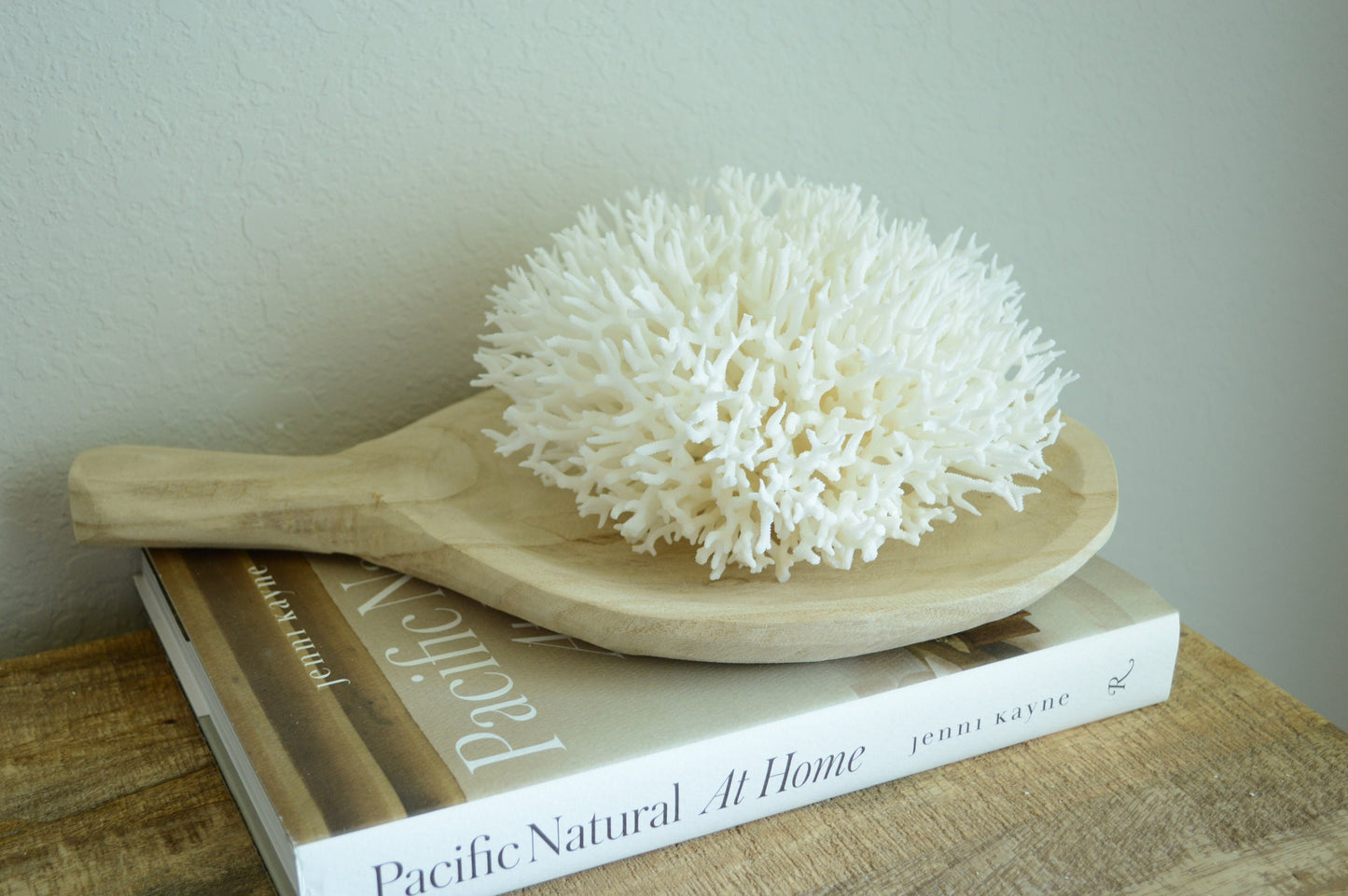 BIRDSNEST Coral White *All Sizes* Authentic Natural Real Sea Fossil Coastal Décor