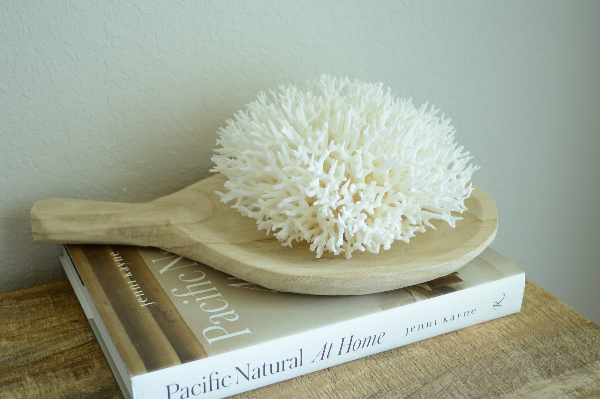 BIRDSNEST Coral White *All Sizes* Authentic Natural Real Sea Fossil Coastal Décor