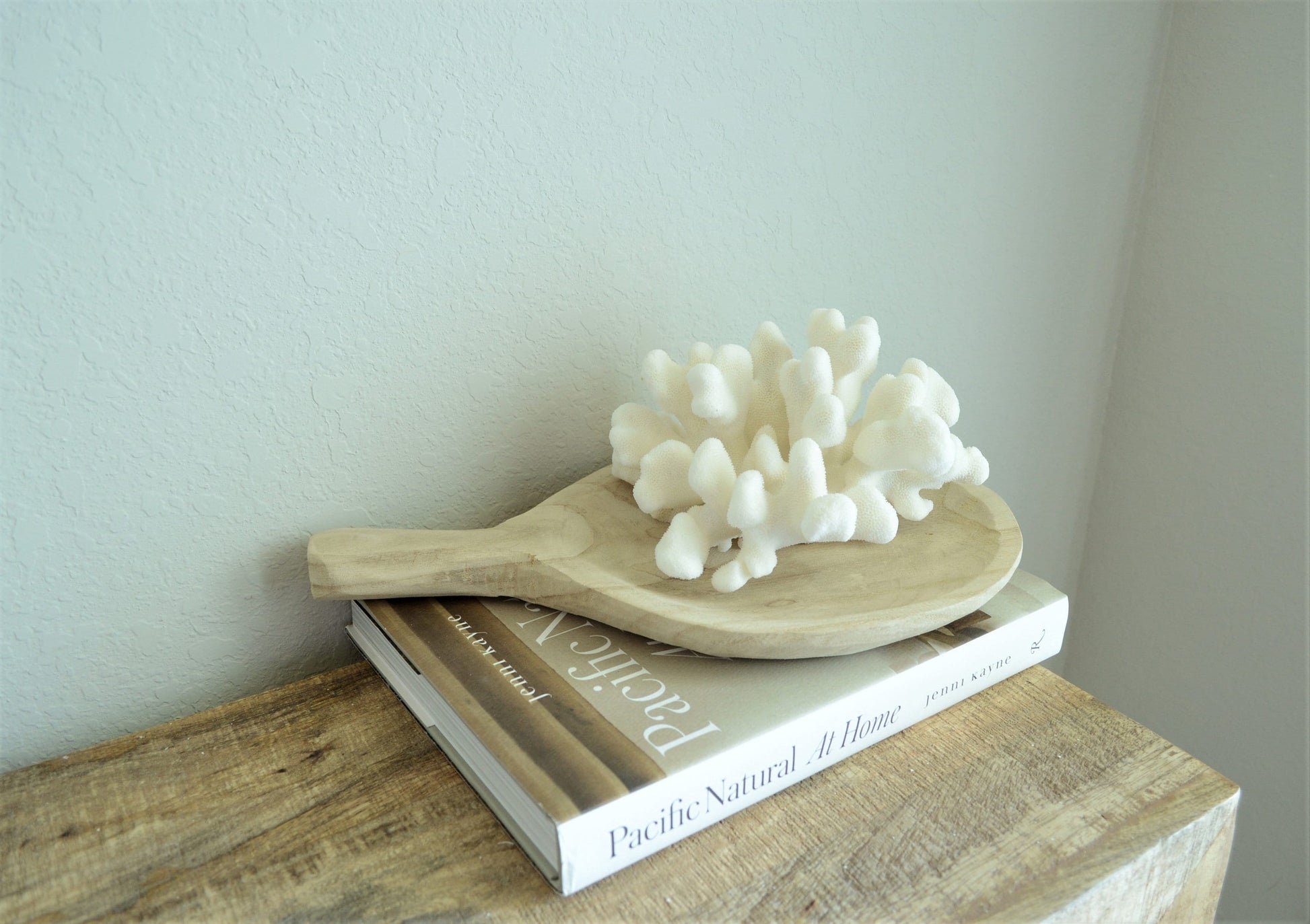 Genuine Sea CATS PAW CORAL 4-12" You pick Size, Ocean Reef Aquarium Coastal Beach Ocean Décor Nautical White wedding Gift Anniversary