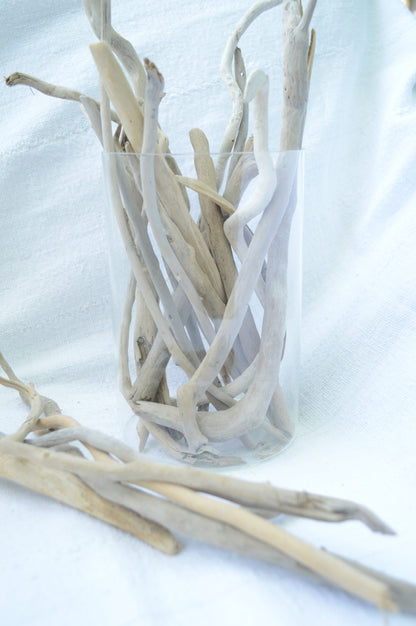 50 Pc. Sanibel Florida Real DRIFTWOOD 4-12" Beach Coastal Décor Nautical Crafts