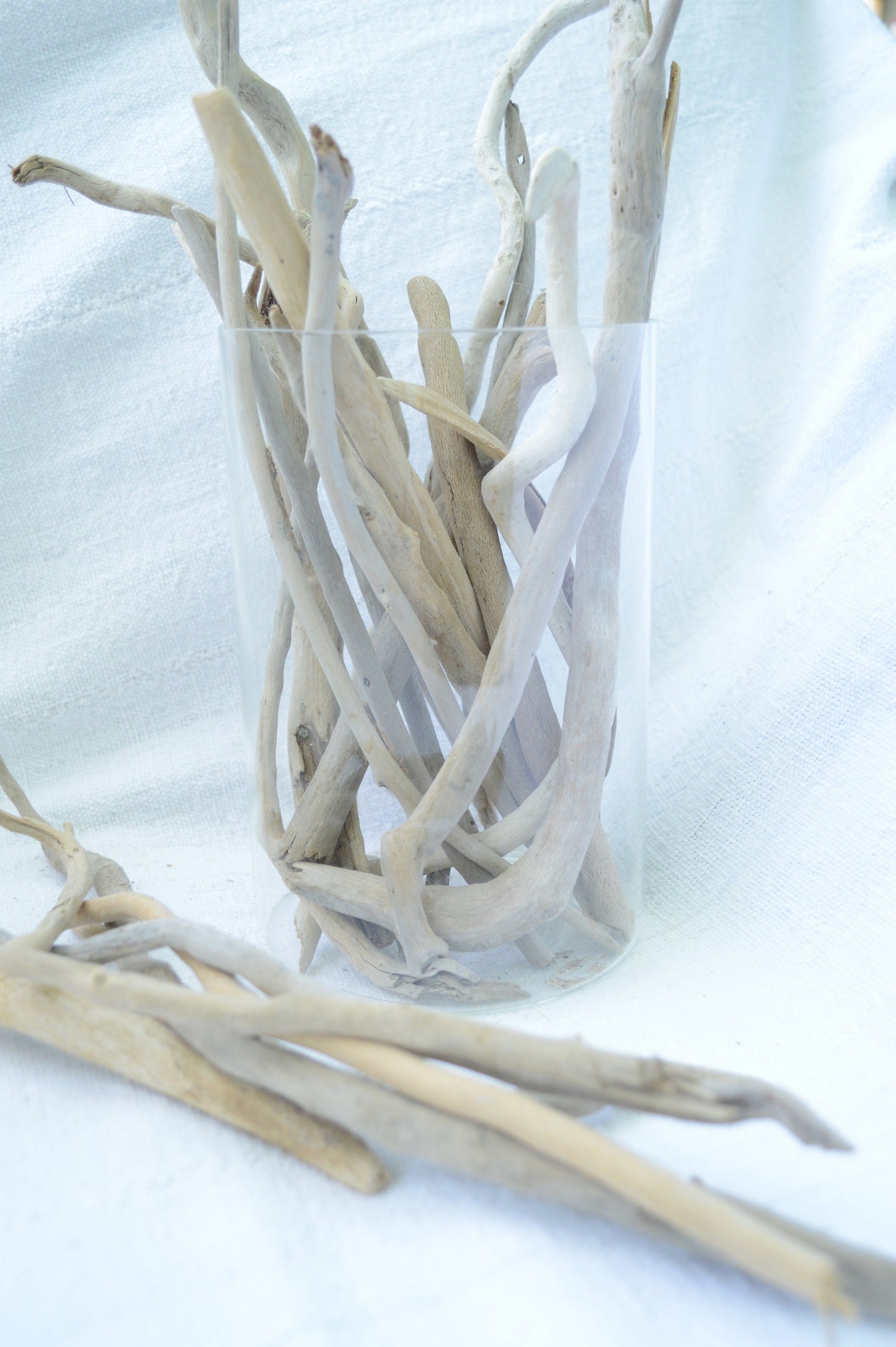 50 Pc. Sanibel Florida Real DRIFTWOOD 4-12" Beach Found Coastal Décor Crafts