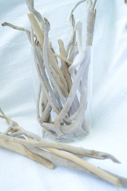 50 Pc. Sanibel Florida Real DRIFTWOOD 4-12" Beach Found Coastal Décor Crafts