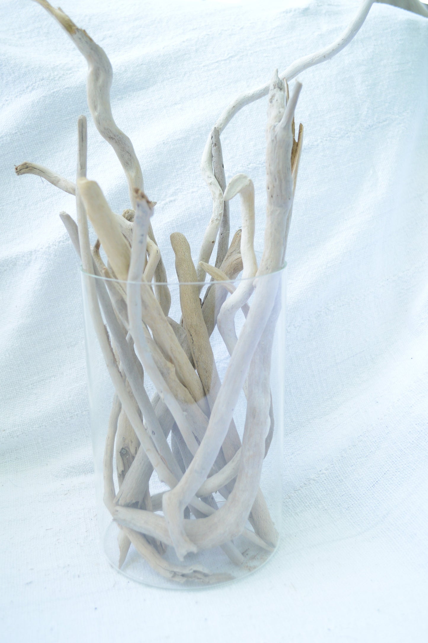 50 Pc. Sanibel Florida Real DRIFTWOOD 4-12" Beach Found Coastal Décor Crafts