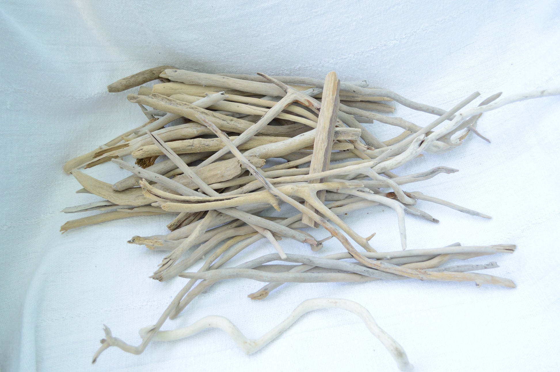 50 Pc. Sanibel Florida Real DRIFTWOOD 4-12" Beach Found Coastal Décor Crafts