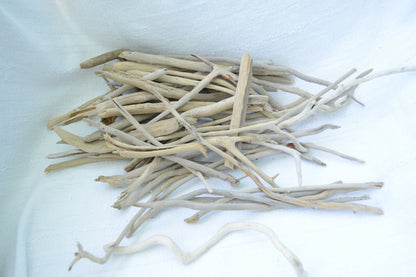 50 Pc. Sanibel Florida Real DRIFTWOOD 4-12" Beach Found Coastal Décor Crafts