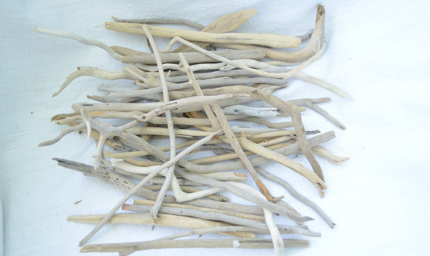 50 Pc. Sanibel Florida Real DRIFTWOOD 4-12" Beach Found Coastal Décor Crafts