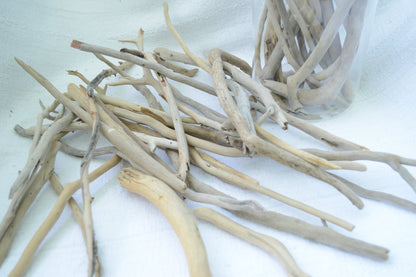 50 Pc. Sanibel Florida Real DRIFTWOOD 4-12" Beach Found Coastal Décor Crafts