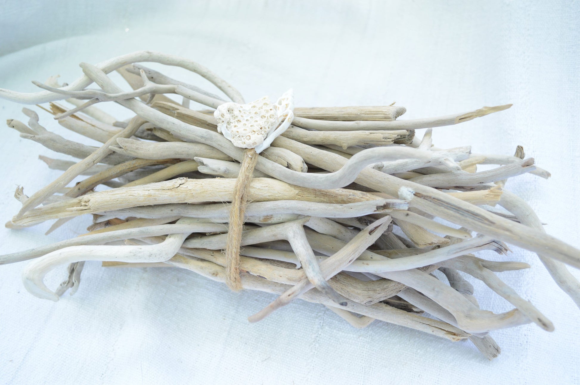 50 Pc. Sanibel Florida Real DRIFTWOOD 4-12" Beach Coastal Décor Nautical Crafts