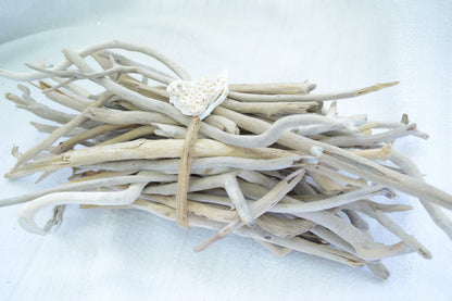 50 Pc. Sanibel Florida Real DRIFTWOOD 4-12" Beach Coastal Décor Nautical Crafts