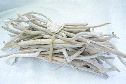 50 Pc. Sanibel Florida Real DRIFTWOOD 4-12" Beach Found Coastal Décor Crafts