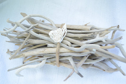 50 Pc. Sanibel Florida Real DRIFTWOOD 4-12" Beach Found Coastal Décor Crafts