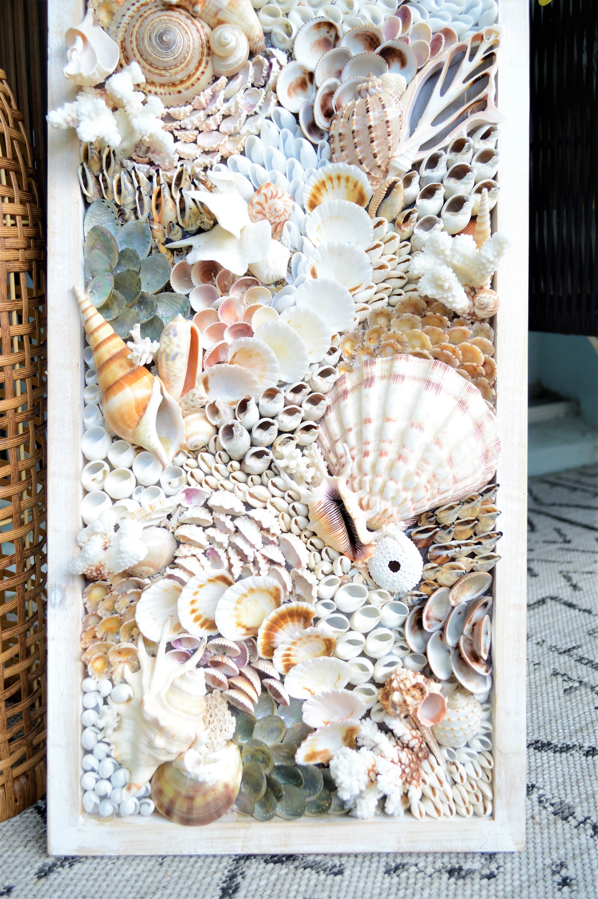 Handmade Sea Shell Coastal Wall Art 36x12" Modern Dimensional Seashell Collage Décor Urchins Coral Neutral Tones